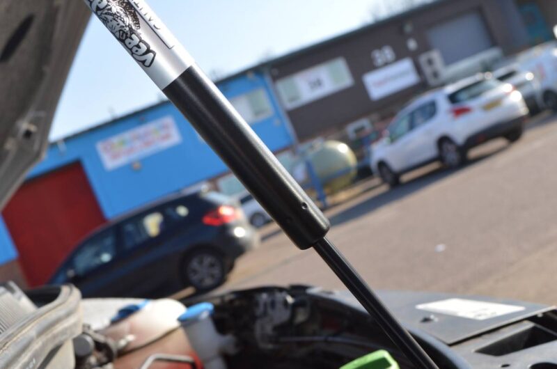 T5:T5.1:T6 Black Bonnet Strut2